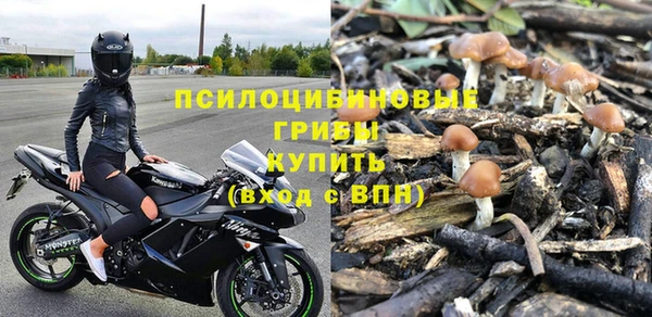 молекула духа Армянск