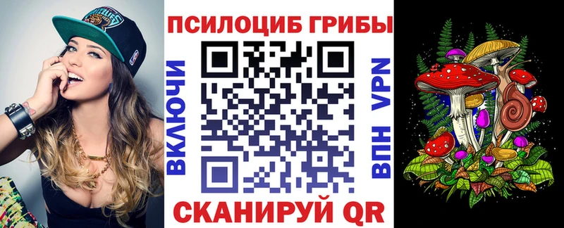 дарк нет Telegram  Свирск  Псилоцибиновые грибы мухоморы 